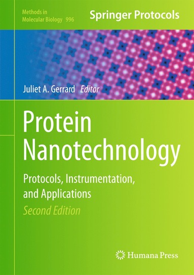 bokomslag Protein Nanotechnology