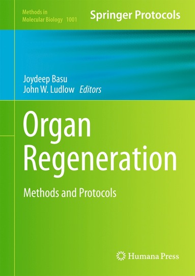 bokomslag Organ Regeneration