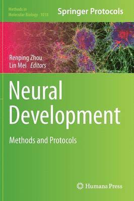 Renping Zhou, Lin Mei - Neural Development, Inbunden