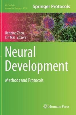 Neural Development 1