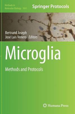 Microglia 1