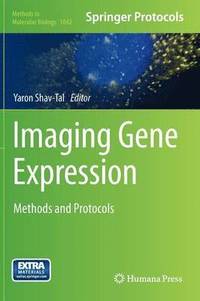 bokomslag Imaging Gene Expression