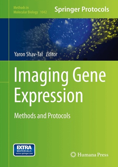 Yaron Shav-Tal - Imaging Gene Expression, Inbunden