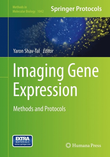 bokomslag Imaging Gene Expression