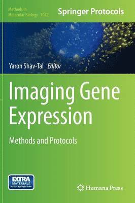 Yaron Shav-Tal - Imaging Gene Expression, Inbunden