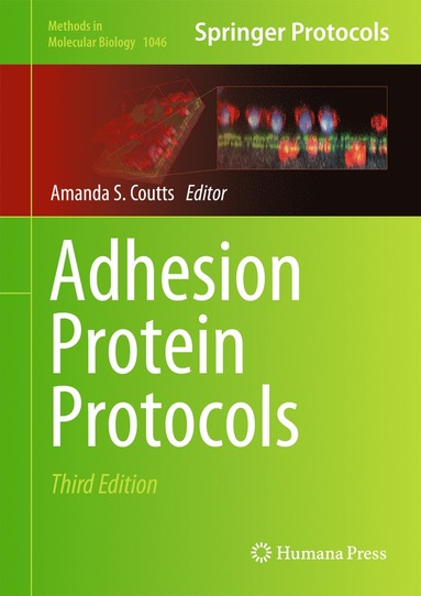 bokomslag Adhesion Protein Protocols