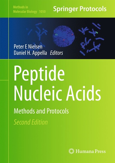 bokomslag Peptide Nucleic Acids