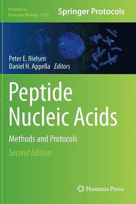 Peptide Nucleic Acids