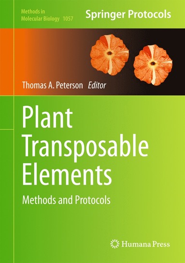 bokomslag Plant Transposable Elements