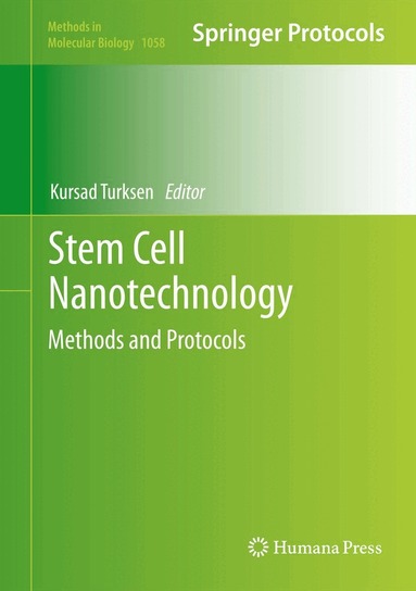 Kursad Turksen - Stem Cell Nanotechnology, Inbunden