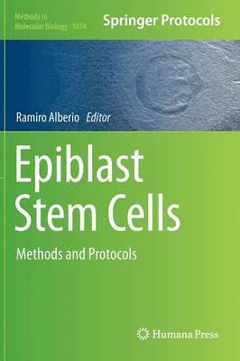 Epiblast Stem Cells 1