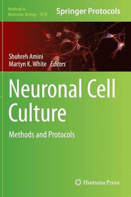 Neuronal Cell Culture 1