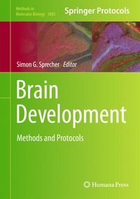 bokomslag Brain Development