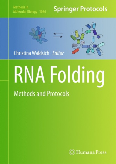 bokomslag RNA Folding