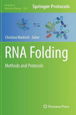 Christina Waldsich - RNA Folding, Inbunden