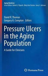 bokomslag Pressure Ulcers in the Aging Population