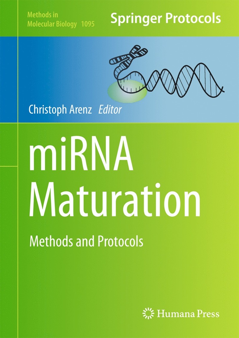 miRNA Maturation 1