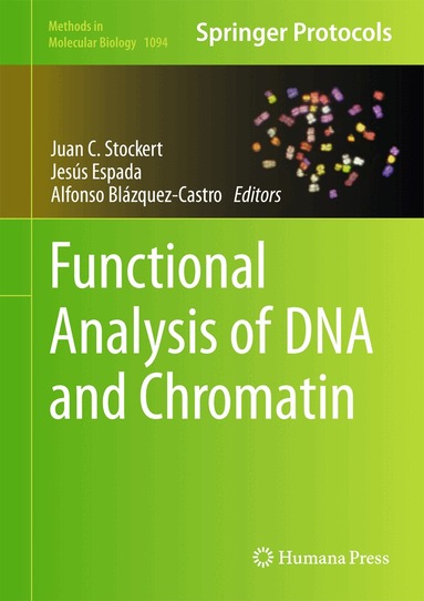 Juan C. Stockert, Jesús Espada, Alfonso Blázquez-Castro - Functional Analysis of DNA and Chromatin, Inbunden