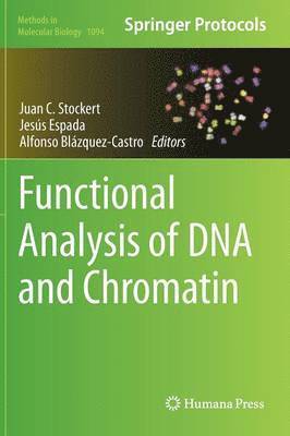 bokomslag Functional Analysis of DNA and Chromatin