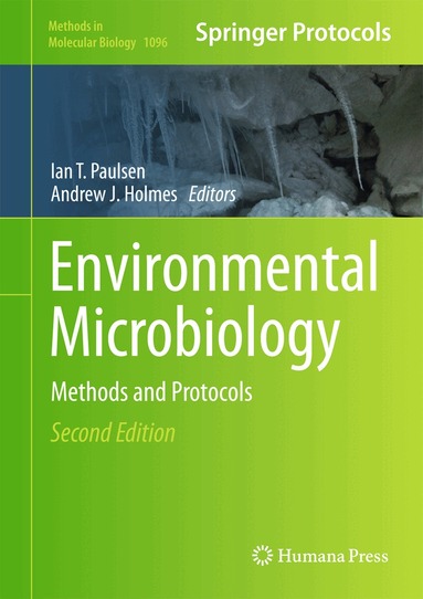 Ian T. Paulsen, Andrew J. Holmes - Environmental Microbiology, Inbunden