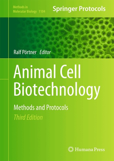 Ralf Pörtner - Animal Cell Biotechnology, Inbunden