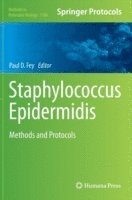 bokomslag Staphylococcus Epidermidis