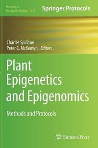 bokomslag Plant Epigenetics and Epigenomics