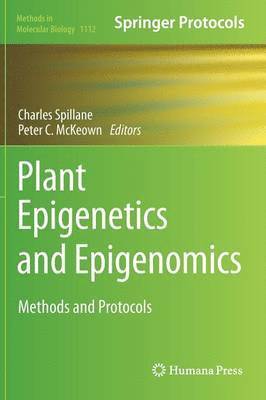 bokomslag Plant Epigenetics and Epigenomics