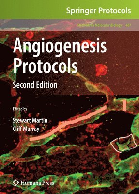 bokomslag Angiogenesis Protocols