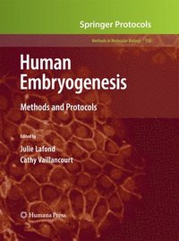 bokomslag Human Embryogenesis