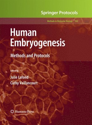 Human Embryogenesis 1