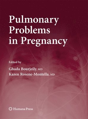 bokomslag Pulmonary Problems in Pregnancy