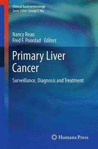 bokomslag Primary Liver Cancer