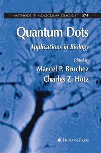 bokomslag Quantum Dots