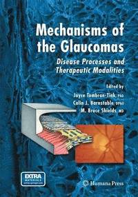 bokomslag Mechanisms of the Glaucomas