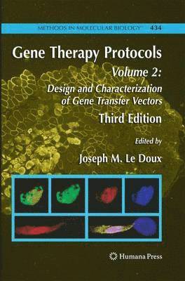 bokomslag Gene Therapy Protocols