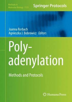 Polyadenylation 1