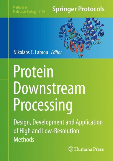 bokomslag Protein Downstream Processing