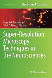 bokomslag Super-Resolution Microscopy Techniques in the Neurosciences