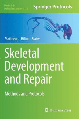 Skeletal Development and Repair 1