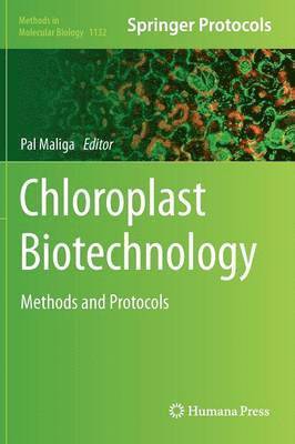 bokomslag Chloroplast Biotechnology