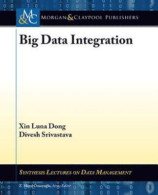 Xin Luna Dong, Divesh Srivastava - Big Data Integration, Häftad