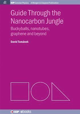 David Tománek - Guide through the Nanocarbon Jungle, Häftad