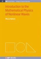 Minoru Fujimoto - Introduction to the Mathematical Physics of Nonlinear Waves, Häftad