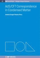 Antonio S.T. Pires - AdS/CFT Correspondence in Condensed Matter, Häftad