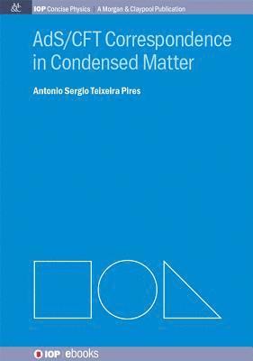 Antonio S.T. Pires, Antonio S. T. Pires - AdS/CFT Correspondence in Condensed Matter, Häftad