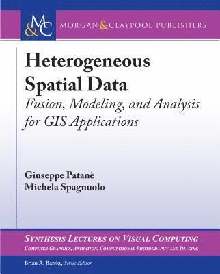 Giuseppe Patanè, Michela Spagnuolo - Heterogeneous Spatial Data, Häftad