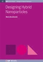 Maria Benelmekki - Designing Hybrid Nanoparticles, Häftad