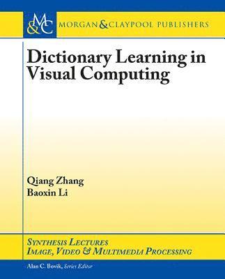 Qiang Zhang, Baoxin Li - Dictionary Learning in Visual Computing, Häftad