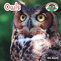 Wil Mara - Owls, Inbunden